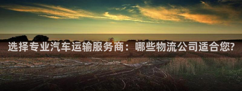 豪门国际官网下载：选择专业汽车运输服