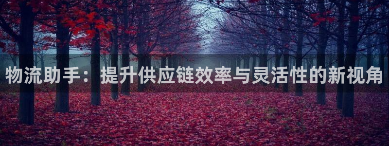 豪门国际入口问一问：物流助手：提升供