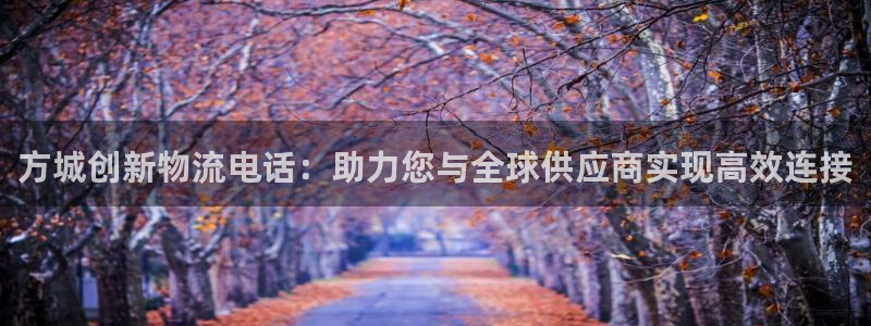 豪门国际软件有什么用：方城创新物流电