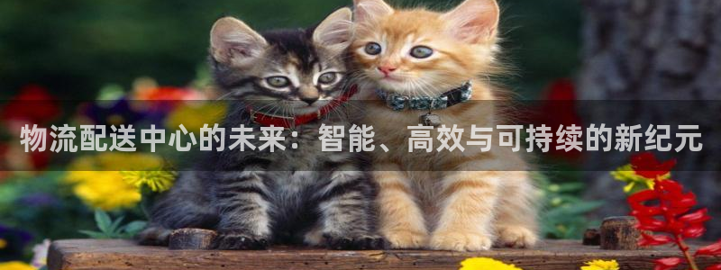 豪门国际黑平台吗：物流配送中心的未来