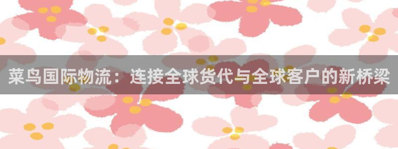 豪门国际官网版2024：菜鸟国际物流