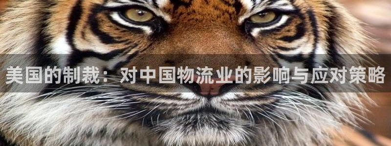 豪门国际游戏官网入口：美国的制裁：对中国物流业的影响与应对策
