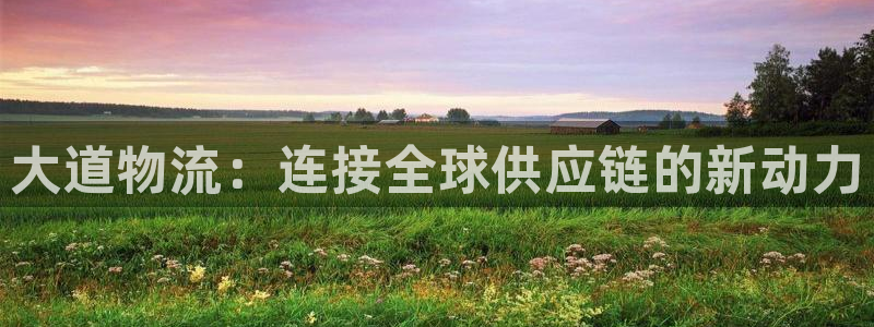 豪门国际初始密码在哪里修改：大道物流