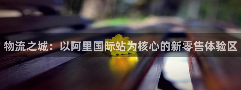 豪门国际官网开奖结果预测：物流之城：