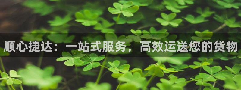 豪门国际注册教程：顺心捷达：一站式服