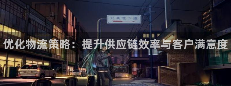 豪门国际充值方式：优化物流策略：提升