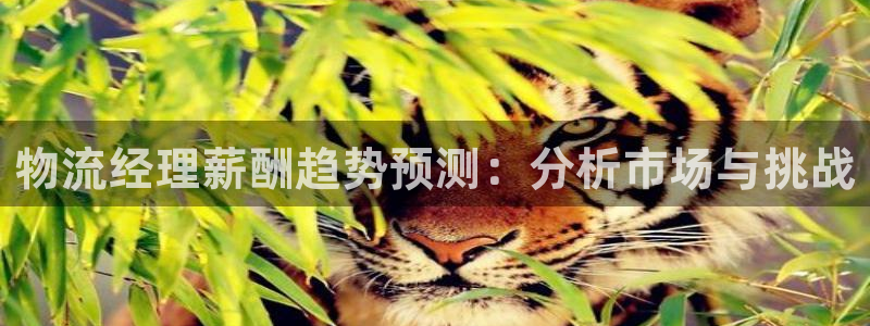 豪门国际连接：物流经理薪酬趋势预测：
