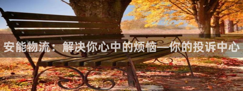 豪门国际是啥：安能物流：解决你心中的
