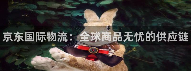 豪门国际官网下载加拿大：京东国际物流