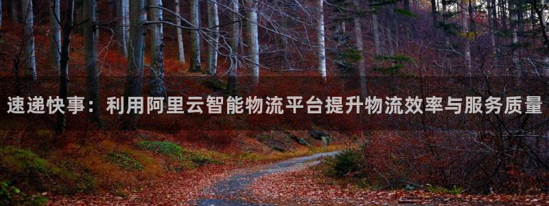 豪门国际充值不到账什么原因