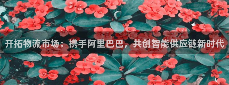 豪门国际的自行车：开拓物流市场：携手