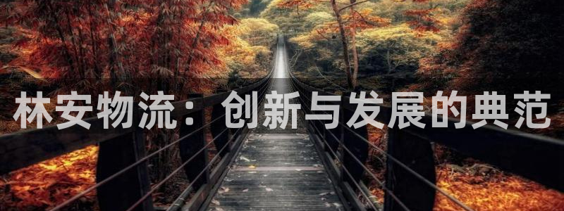 豪门国际如何看012路计划：林安物流