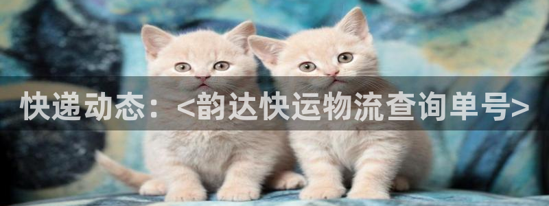 豪门国际加拿大在线预测：快递动态：<